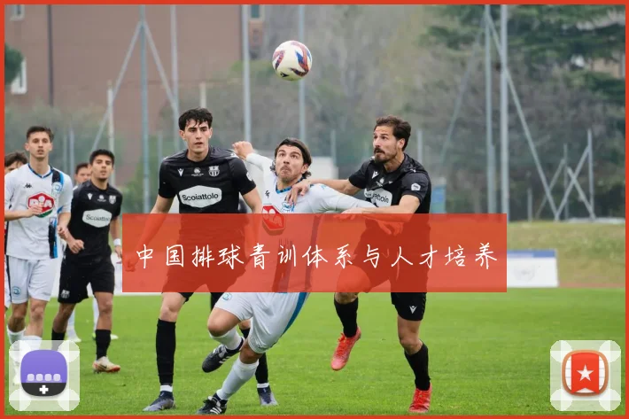 中国排球青训体系与人才培养