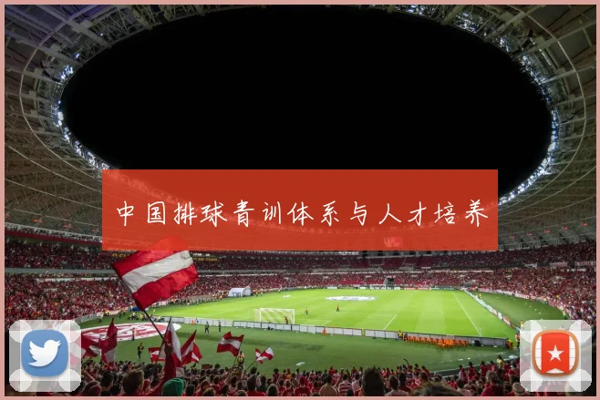 中国排球青训体系与人才培养